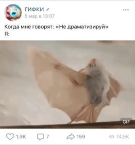 Как скачать гифку с вк