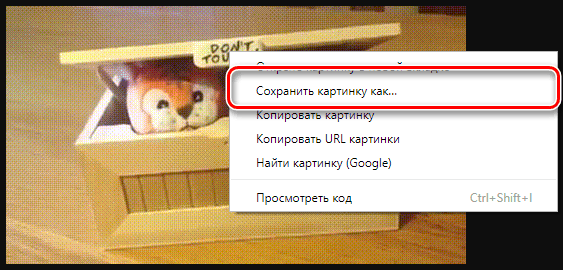 Как скачать гифку с вк